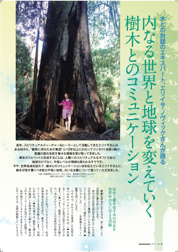 Anemone article Japanese 1