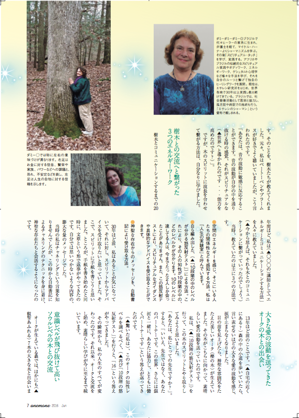 Anemone article Japanese 2