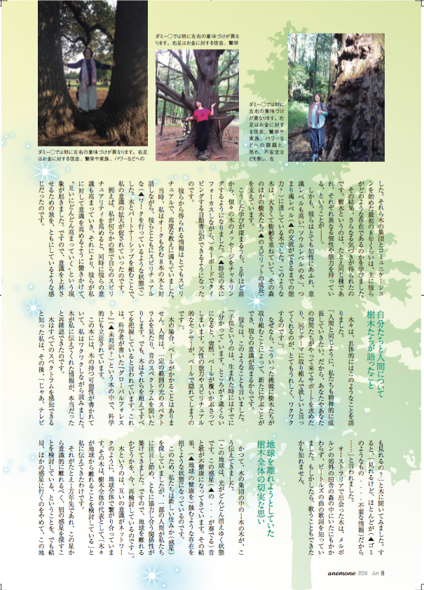 Anemone article Japanese 3