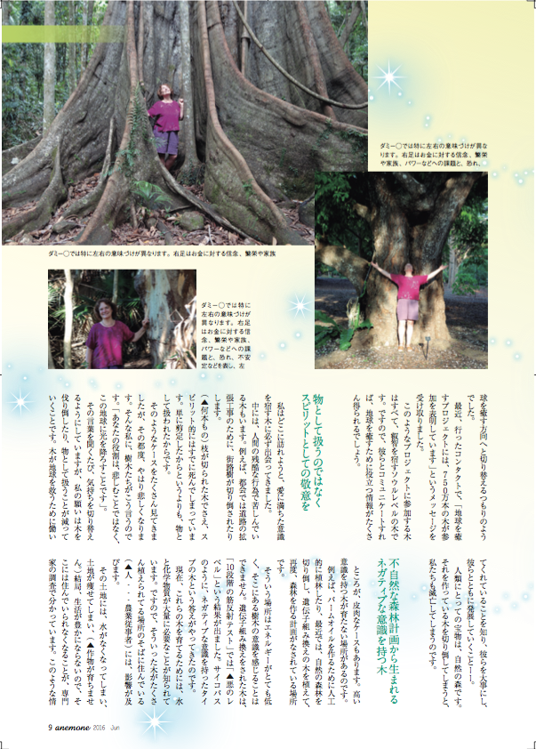 Anemone article Japanese 4
