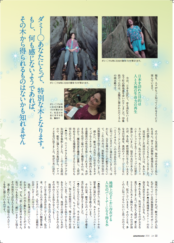Anemone article Japanese 5
