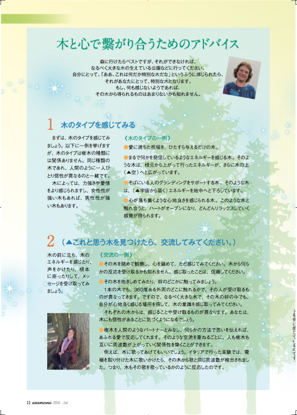 Anemone article Japanese 6