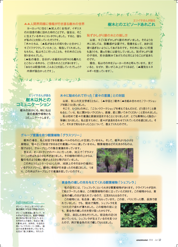 Anemone article Japanese 7